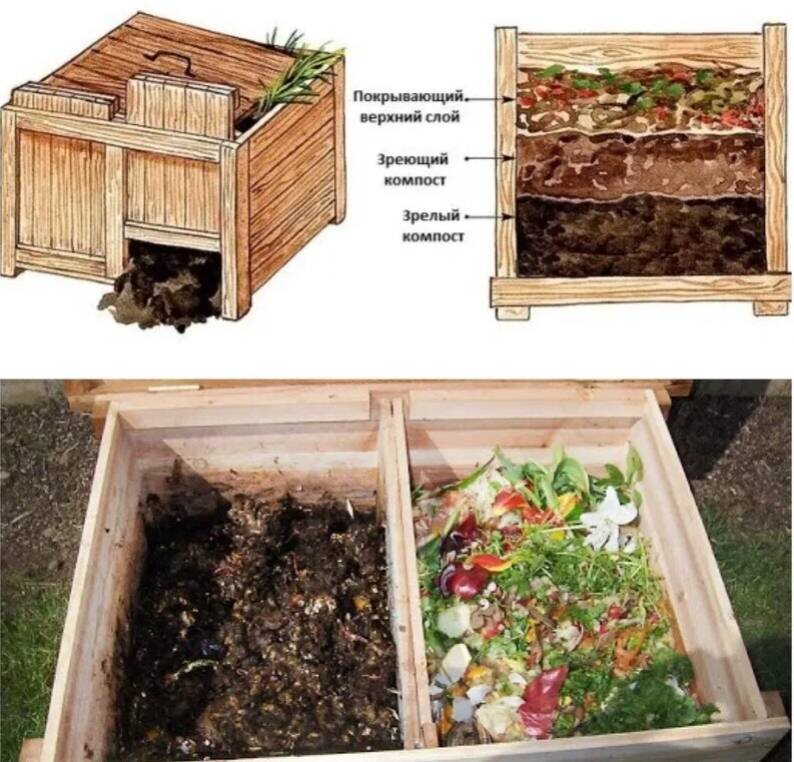 Фото из открытых источников