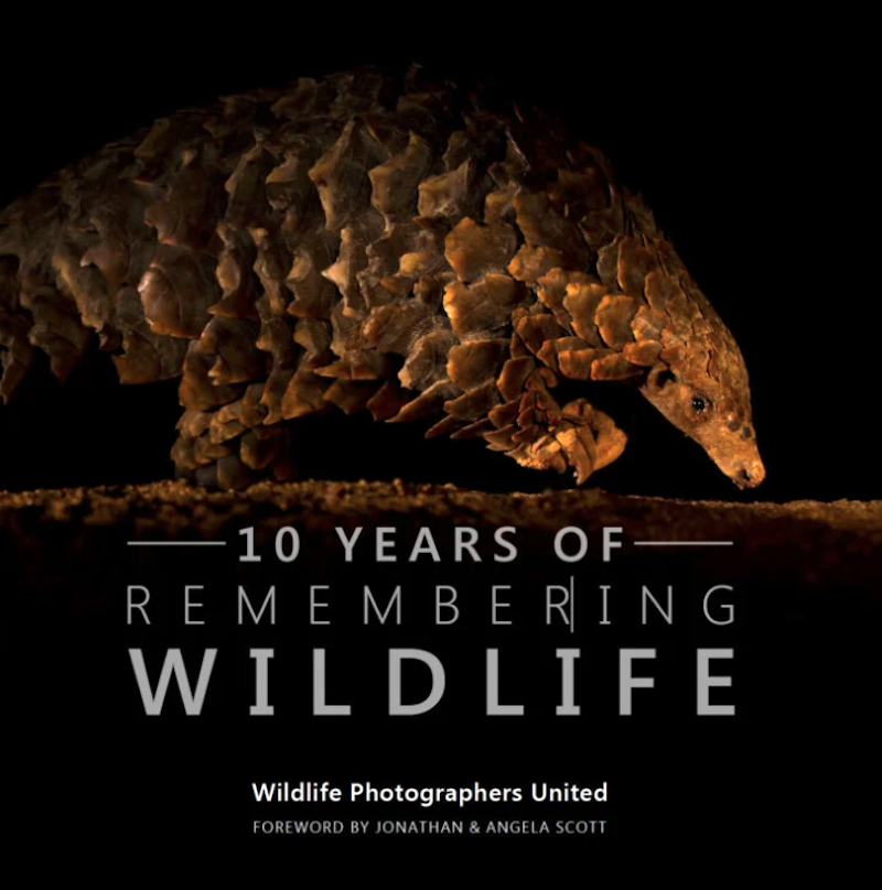 Обложка книги «10 лет памяти дикой природы». Фото: Тристан Дикс. Источник: petapixel.com
