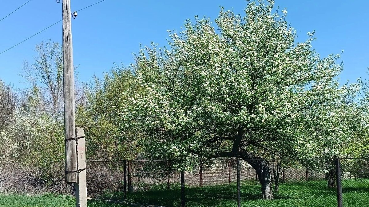     Источник: rostovgazeta.ru