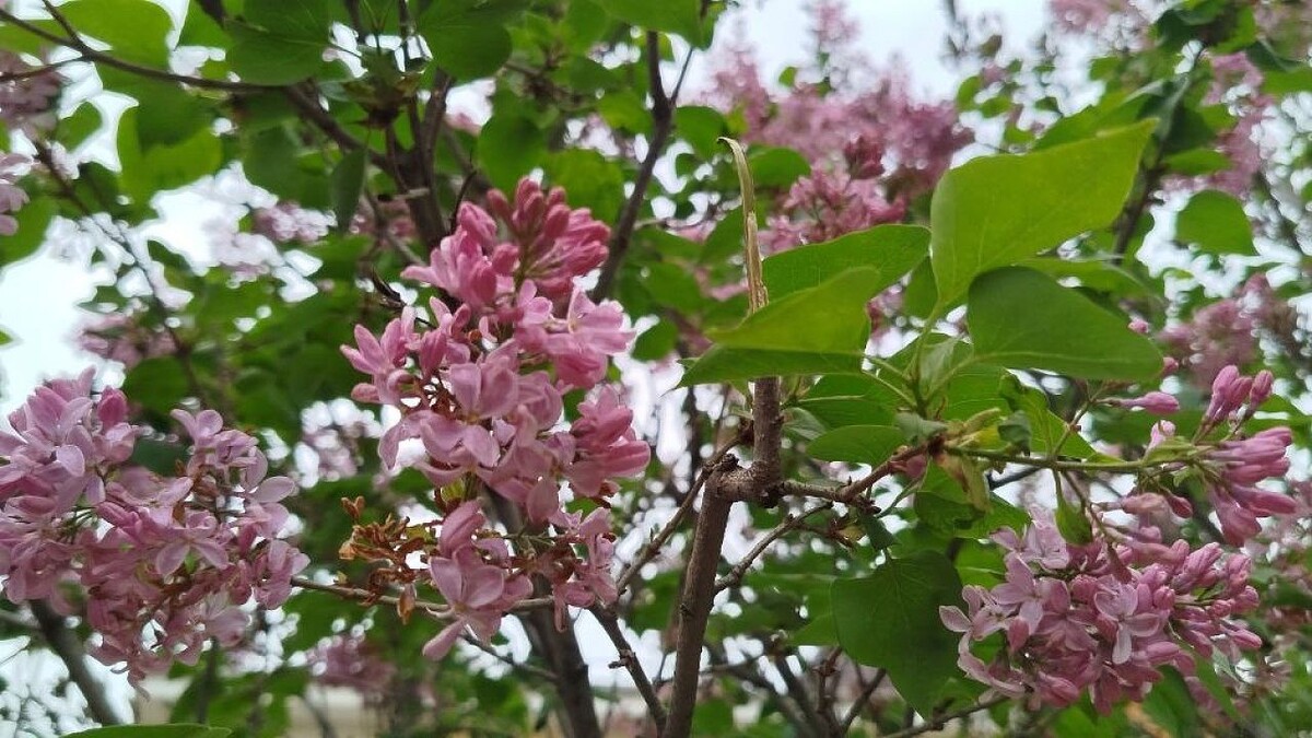    Фото: телеканал «Краснодар»