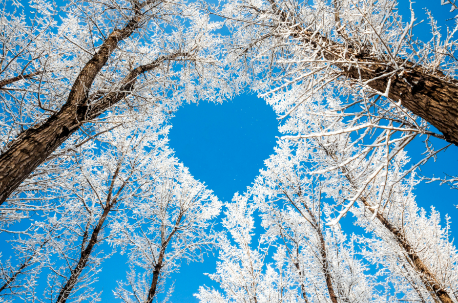 Картинка из интернета