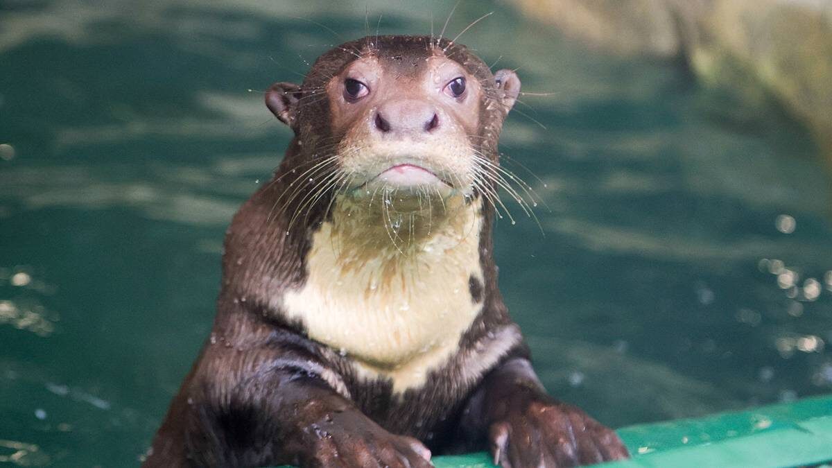    Фото: Дмитрий Белицкий / АГН Москва