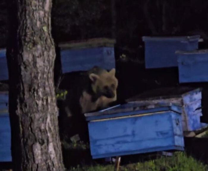 Источник фото: Соцсети/скриншот с видео