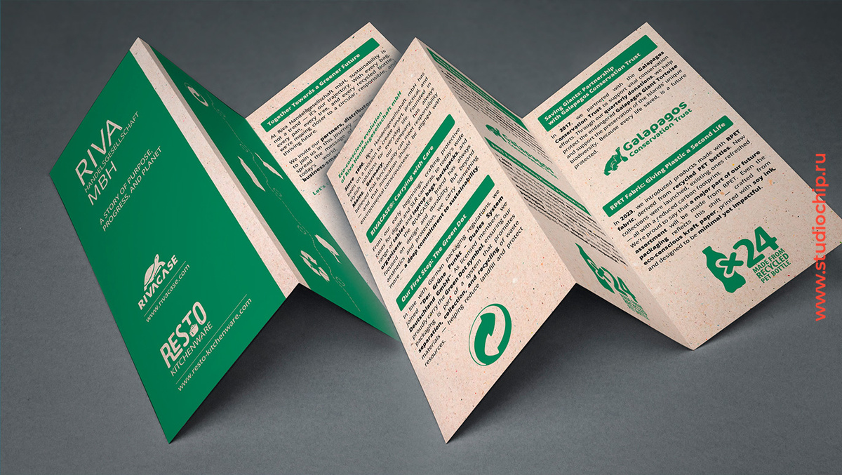 Экоброшюра для продвижения услуг компании: новый взгляд на дизайн