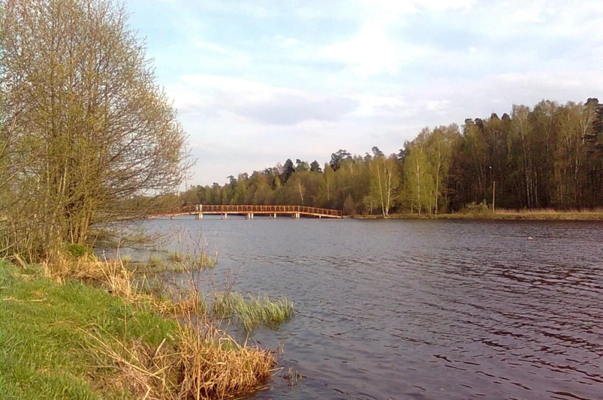    Нетронутая экосистема.