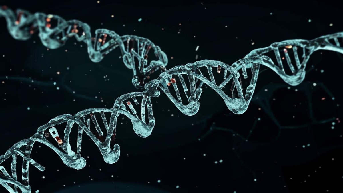    Фото сгенерировано Kandinsky 3.1