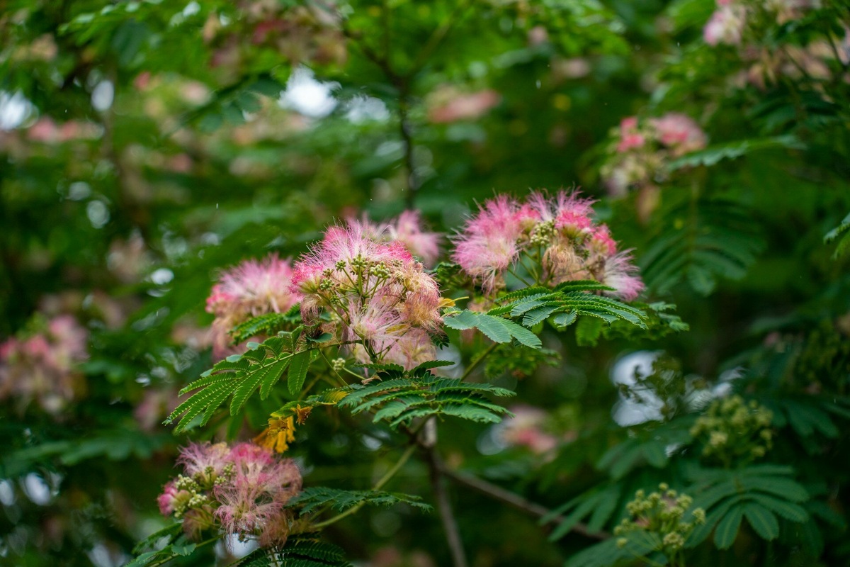   ,       ,     . : Kevin Wang / Unsplash