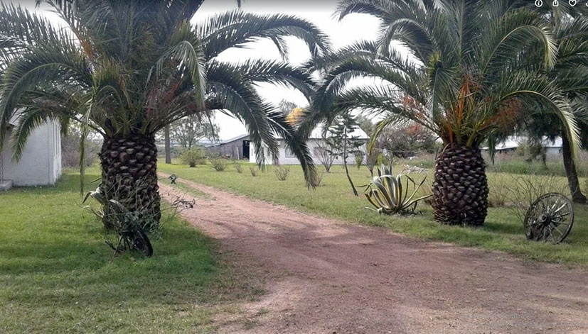 Селение в Уругвае. Фото из архива И.Фефелова