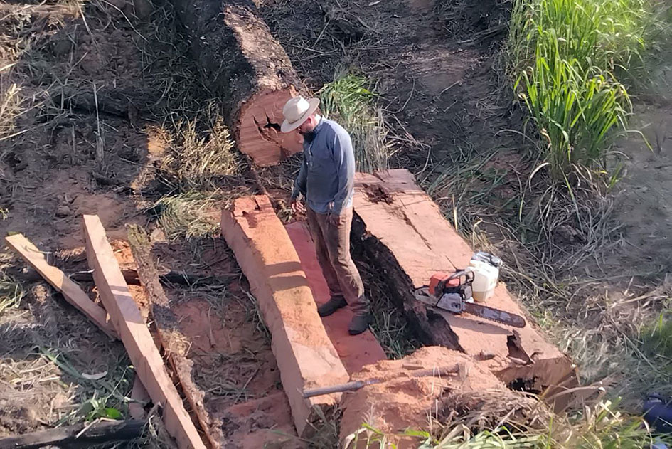 Родственник Инокентия осваивается вблизи Амазонки. Фото из архива И.Фефелова