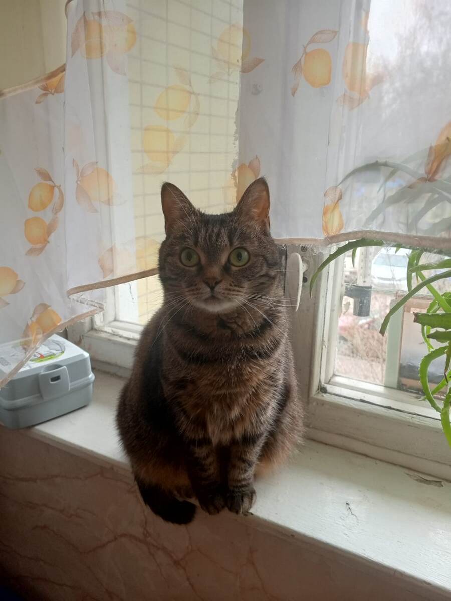 Это что, я тебя благодарить должна, что ли?