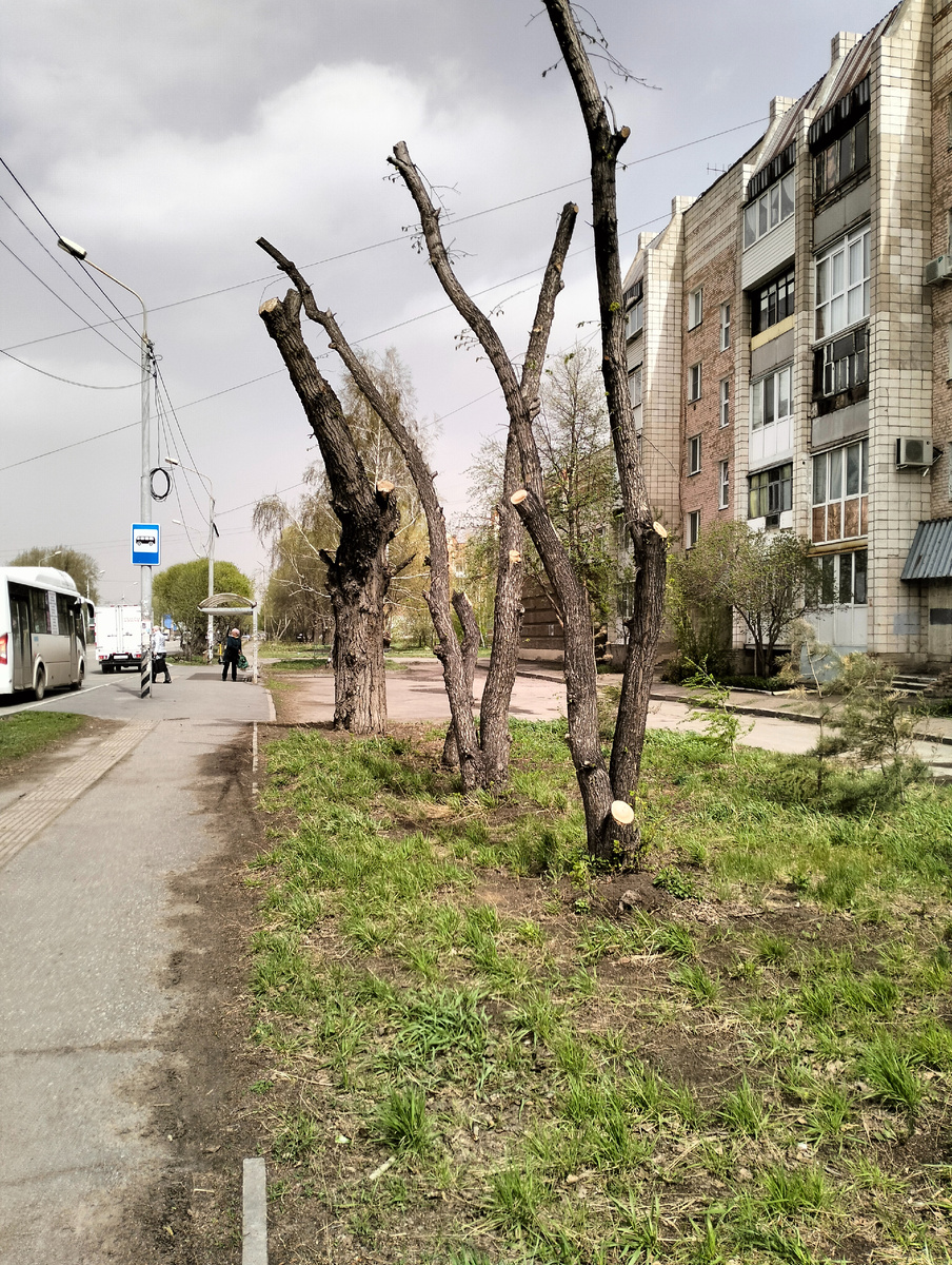 Ну что же тут хорошего?!