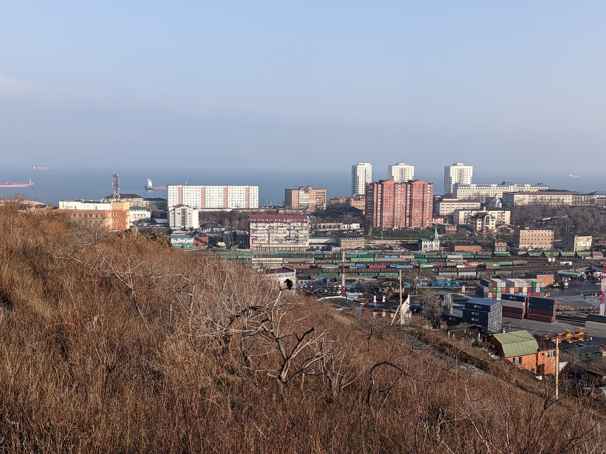 голые деревца на склоне, покрытом сухими растениями монотонного коричнево-серого цвета — что там можно найти?!