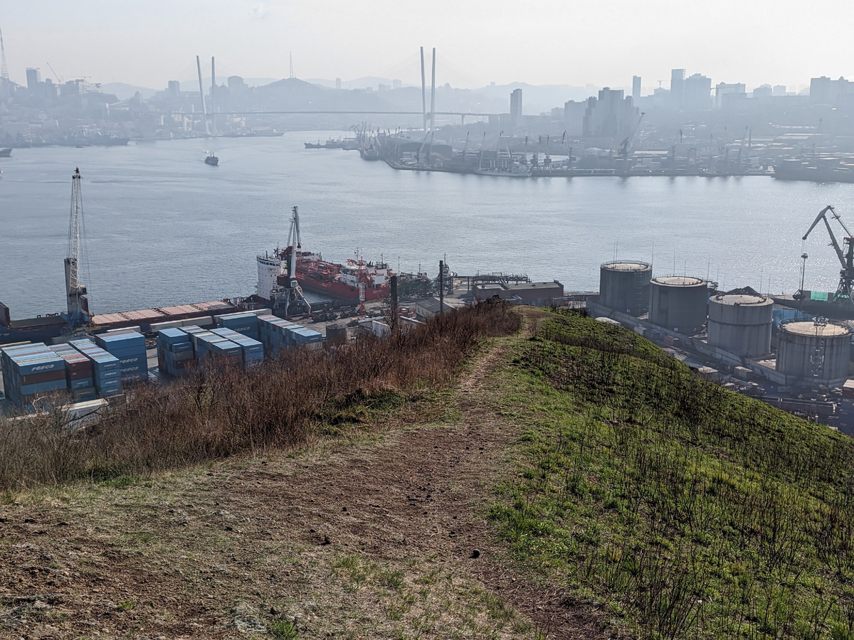 восточный склон Крестовой сопки уже заметно зазеленел и радует глаз.