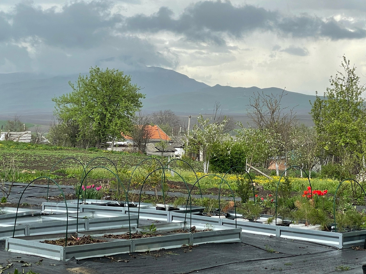 Автор фото Елена Якимова / Greenfingers
