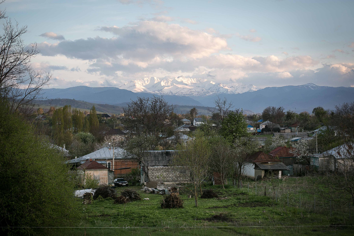 Автор фото Елена Якимова / Greenfingers
