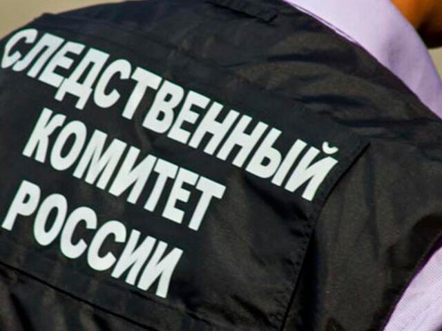    Фото: sledcom.ru