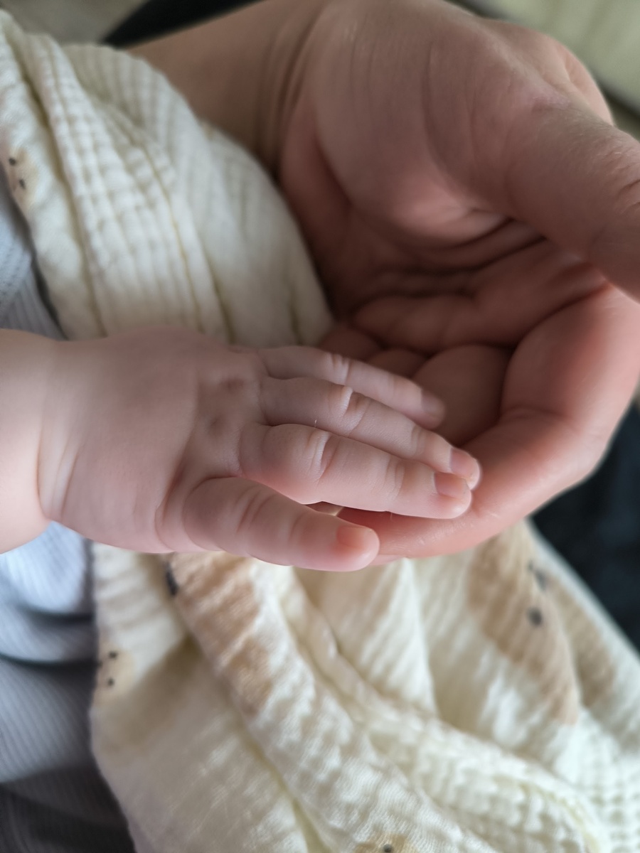 Все фотографии в статье авторские