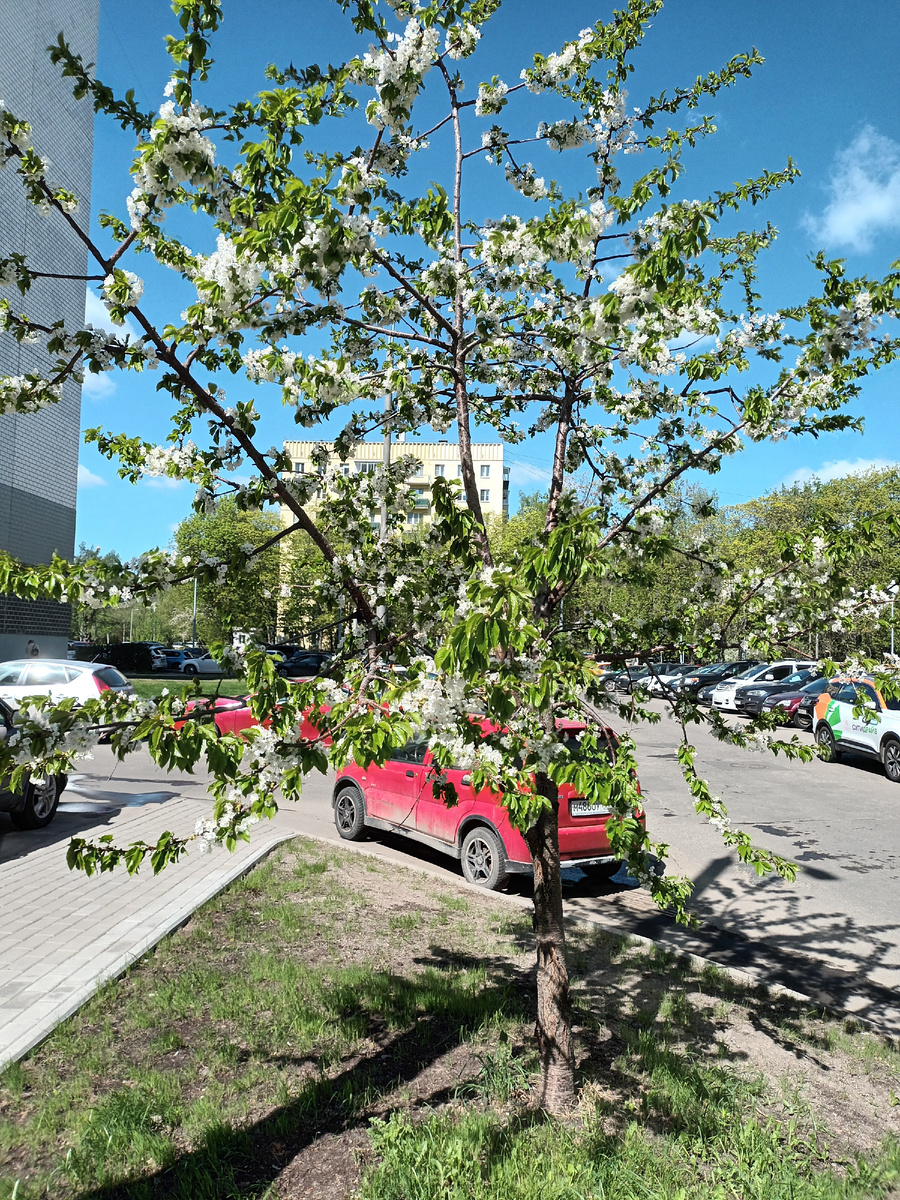 Во дворе многоэтажки