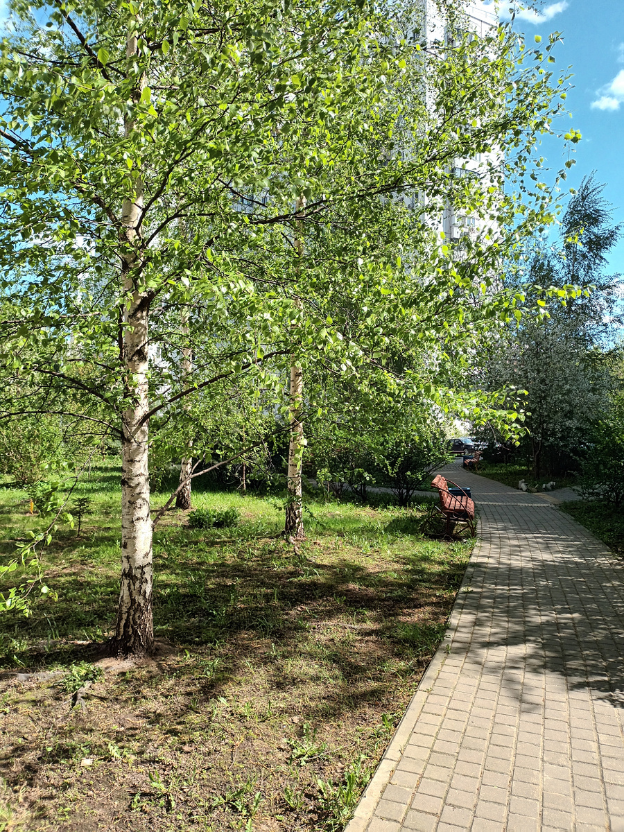 Двор в Москве