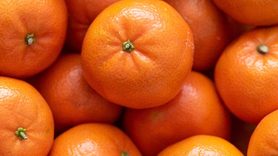 Фото: Игорь Елисеев / Коммерсантъ