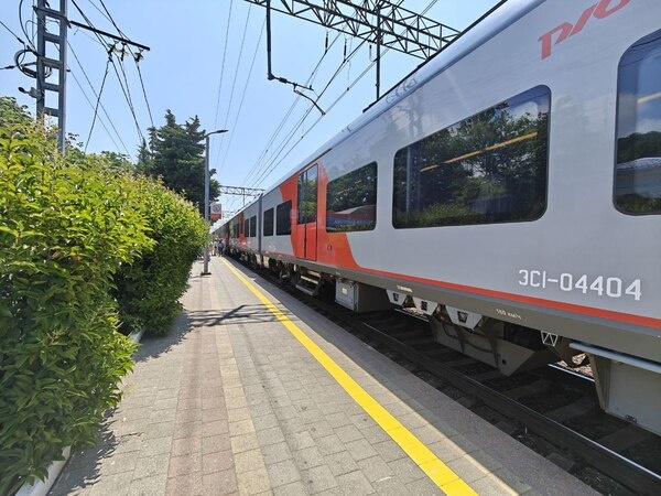    Фото: Юрий Серебренников/BFM Кубани