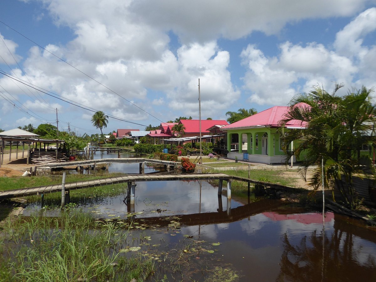 Фото saronic на сайте tripadvisor