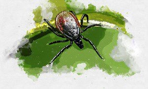 Изображение от erik-karits-2093459 на Freepik  📷
