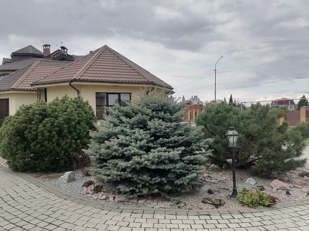 28 апреля 2025 