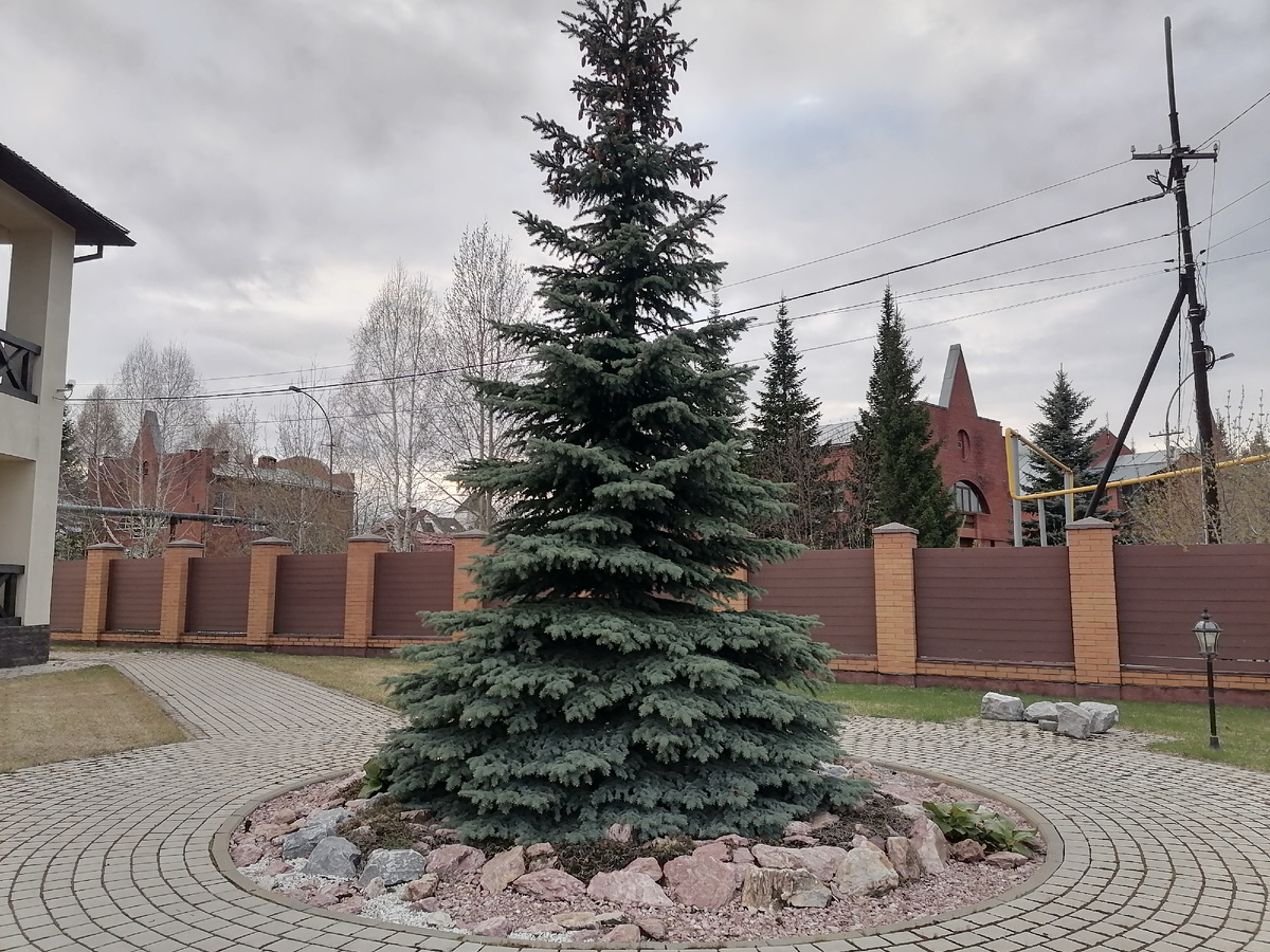 28 апреля 2025 