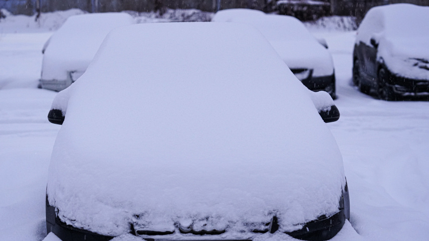    Фото: ИЗВЕСТИЯ/Анна Селина; 5-tv.ru