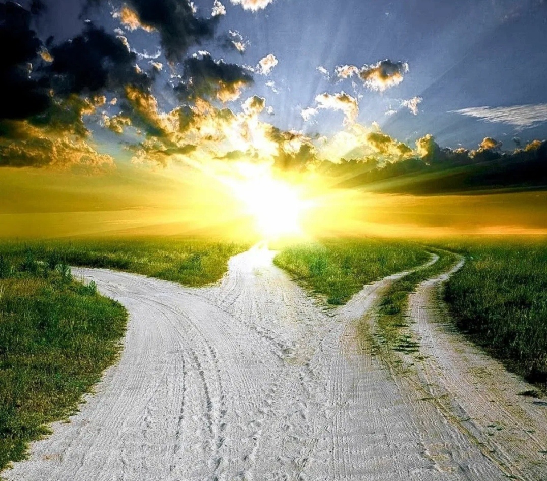 А какой путь выберешь ты? По совету, рекомендациям, или осознанно сам примешь решение? (Картинка взята с просторов интернета)