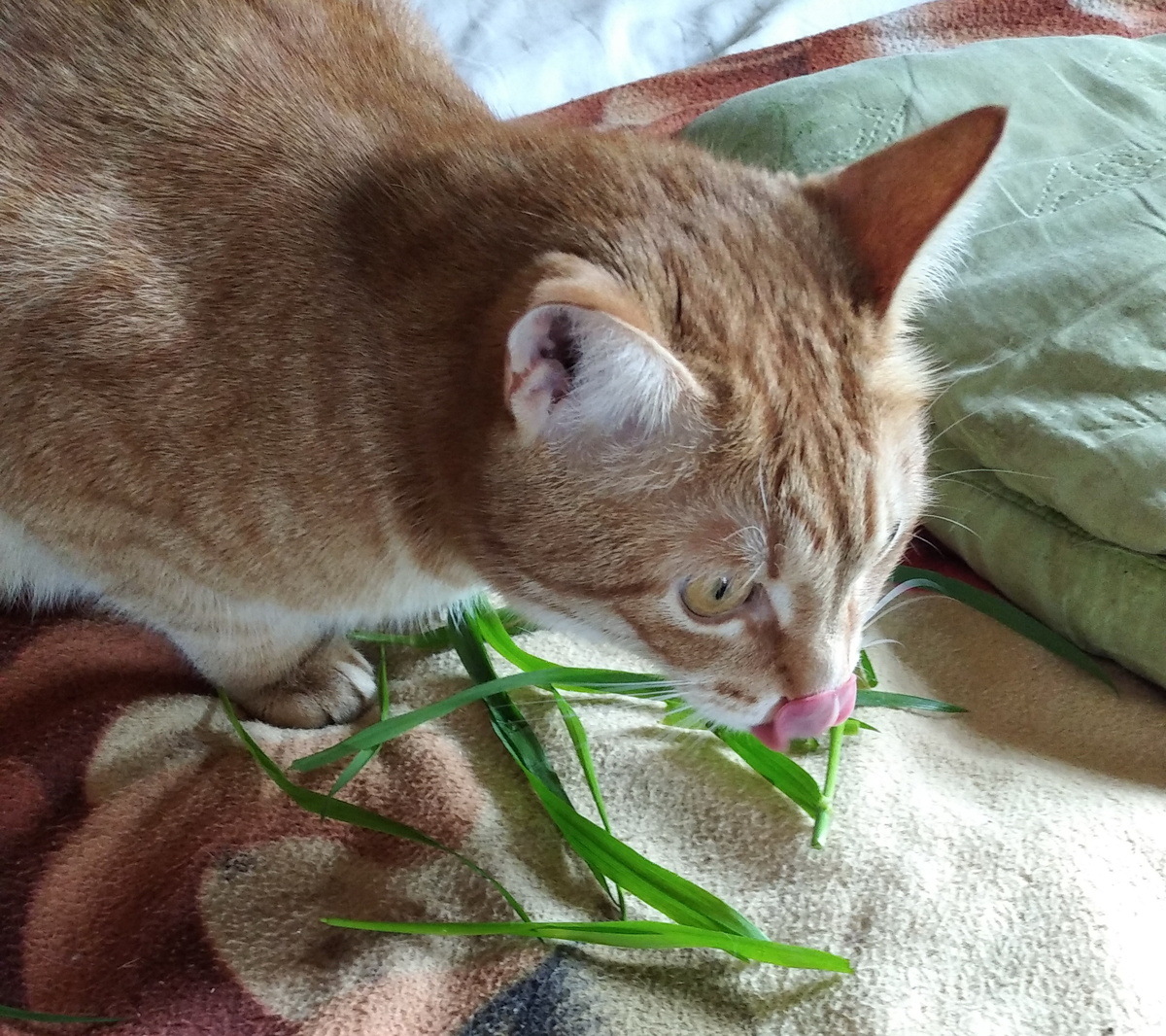 личное фото