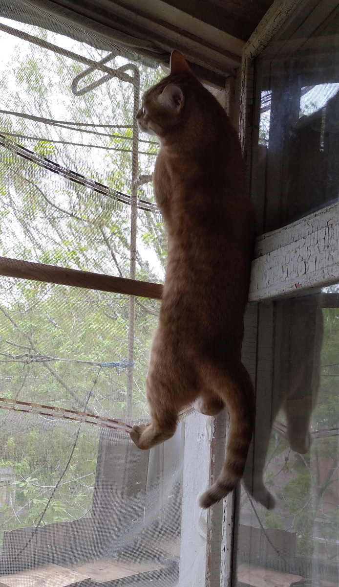 личное фото