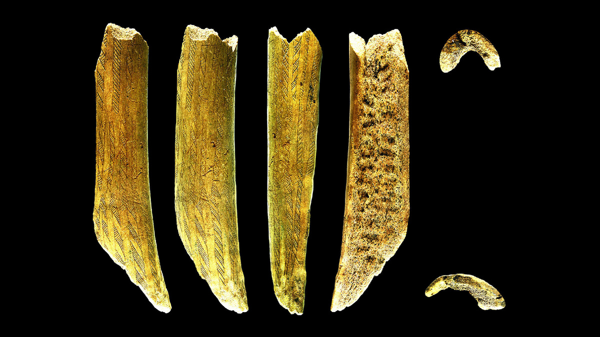    7500-летний рогатый топор из Швеции оказался оружием и орудием для рыбалки