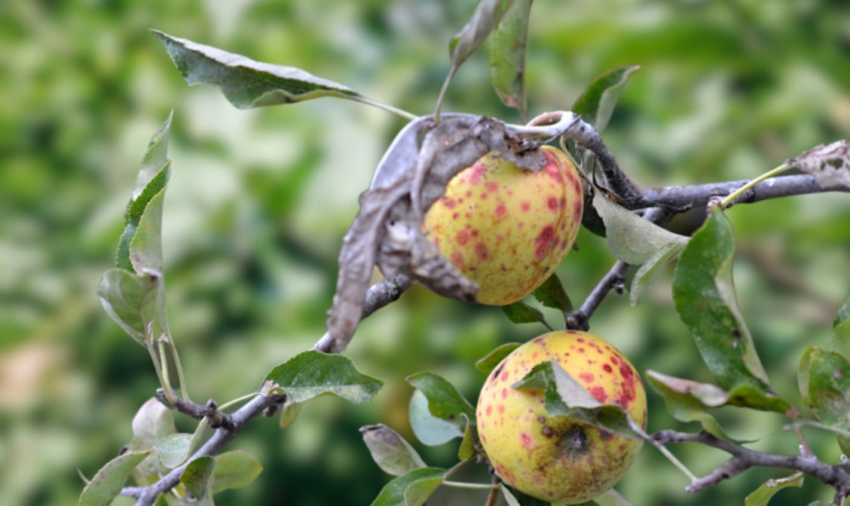 Источник фото: shutterstock.com