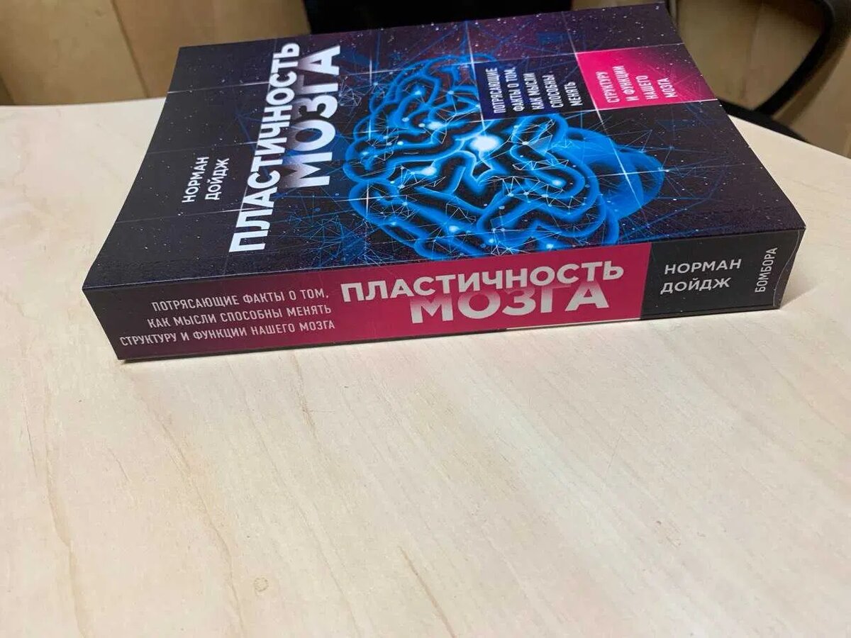 Одна из основных книг по теме нейропластичности, доступная на русском - Нормана Дойджа - являлась настольной дома и у Ромены Теодоровны.