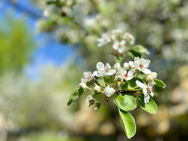    Три дня подряд в апреле был превышен температурный максимум