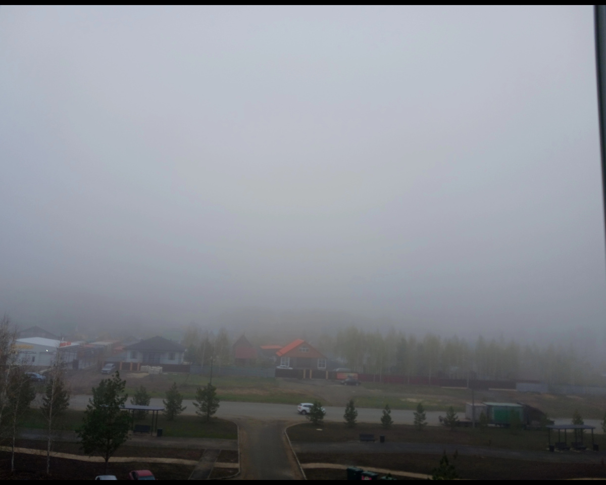 "Доброе утро, мир! Ты прекрасен!" Фото автора