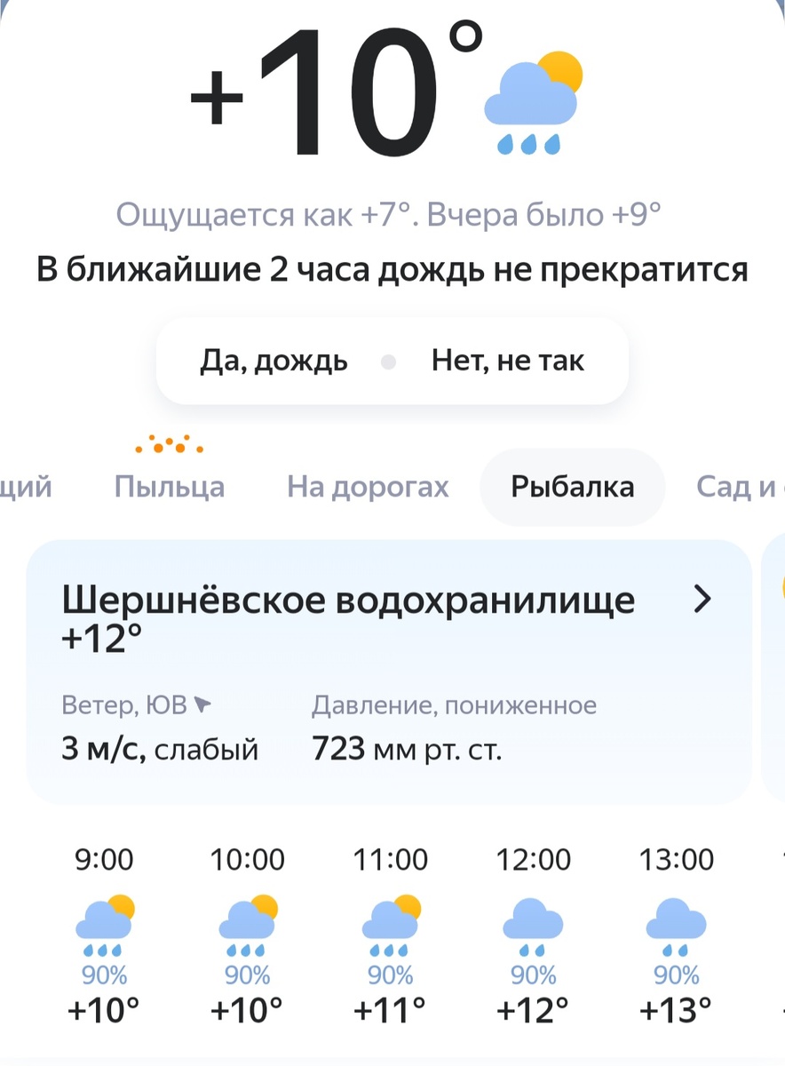 Дождь на весь день включился. Фото автора