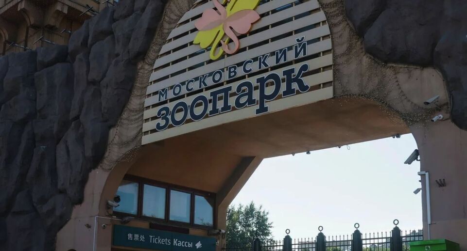    РИА «Новости»