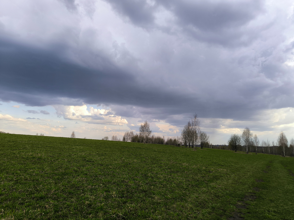 Тучи мглою...