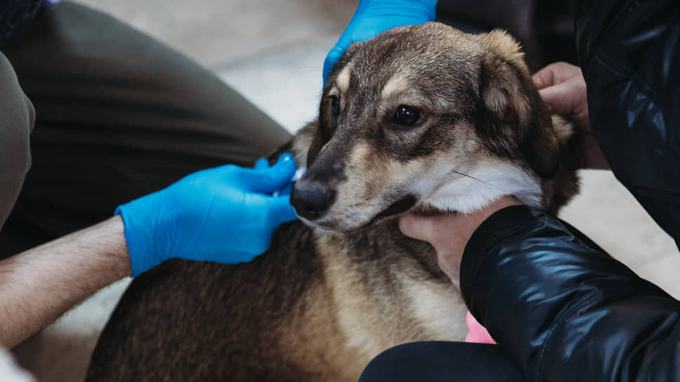 Фото: Ксения Федорова / Коммерсантъ