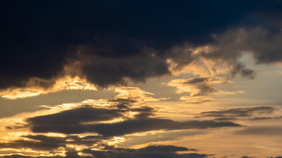 Фото: Олег Харсеев / Коммерсантъ