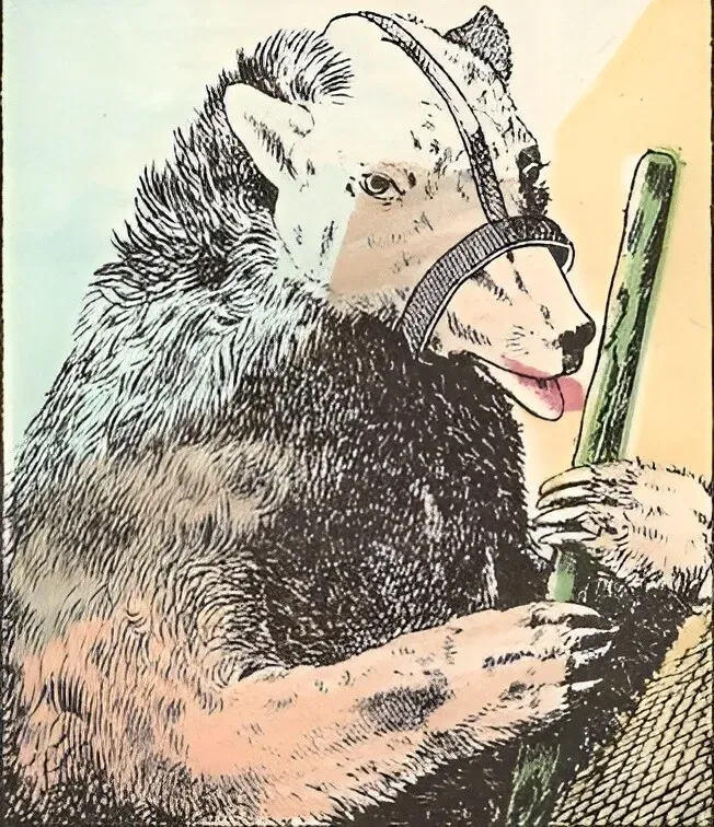 «Загадочное представление: сможете ли вы разглядеть человека за образом медведя?»