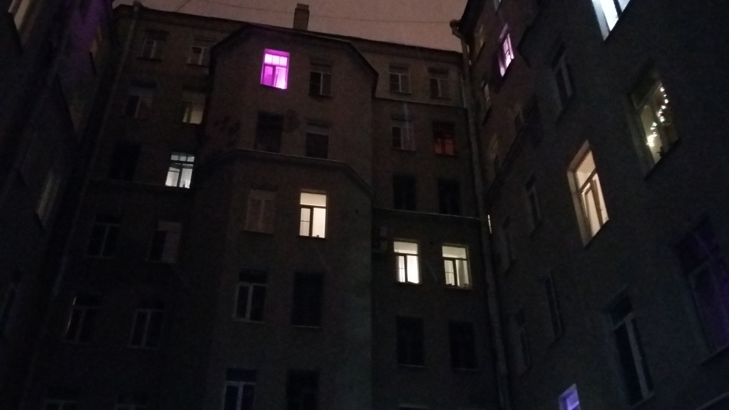    Фото: Zamir Usmanov/Global Look Press