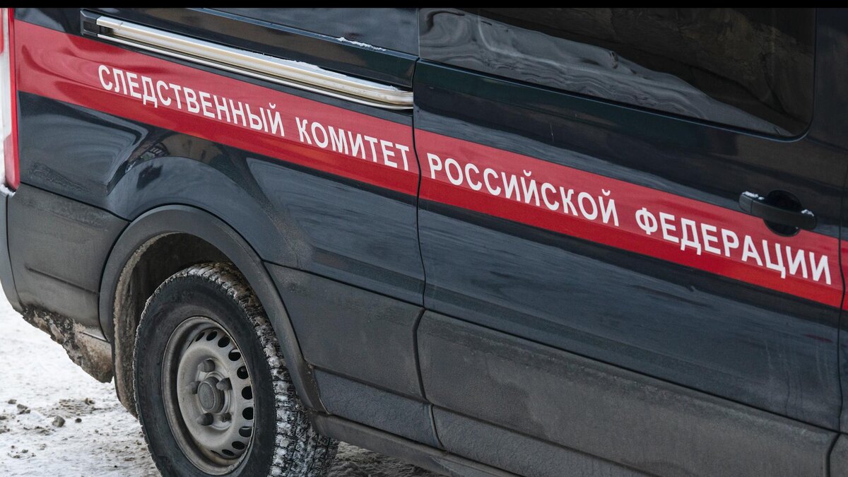    Фото: Ilya Moskovets/URA.RU/globallookpress.com