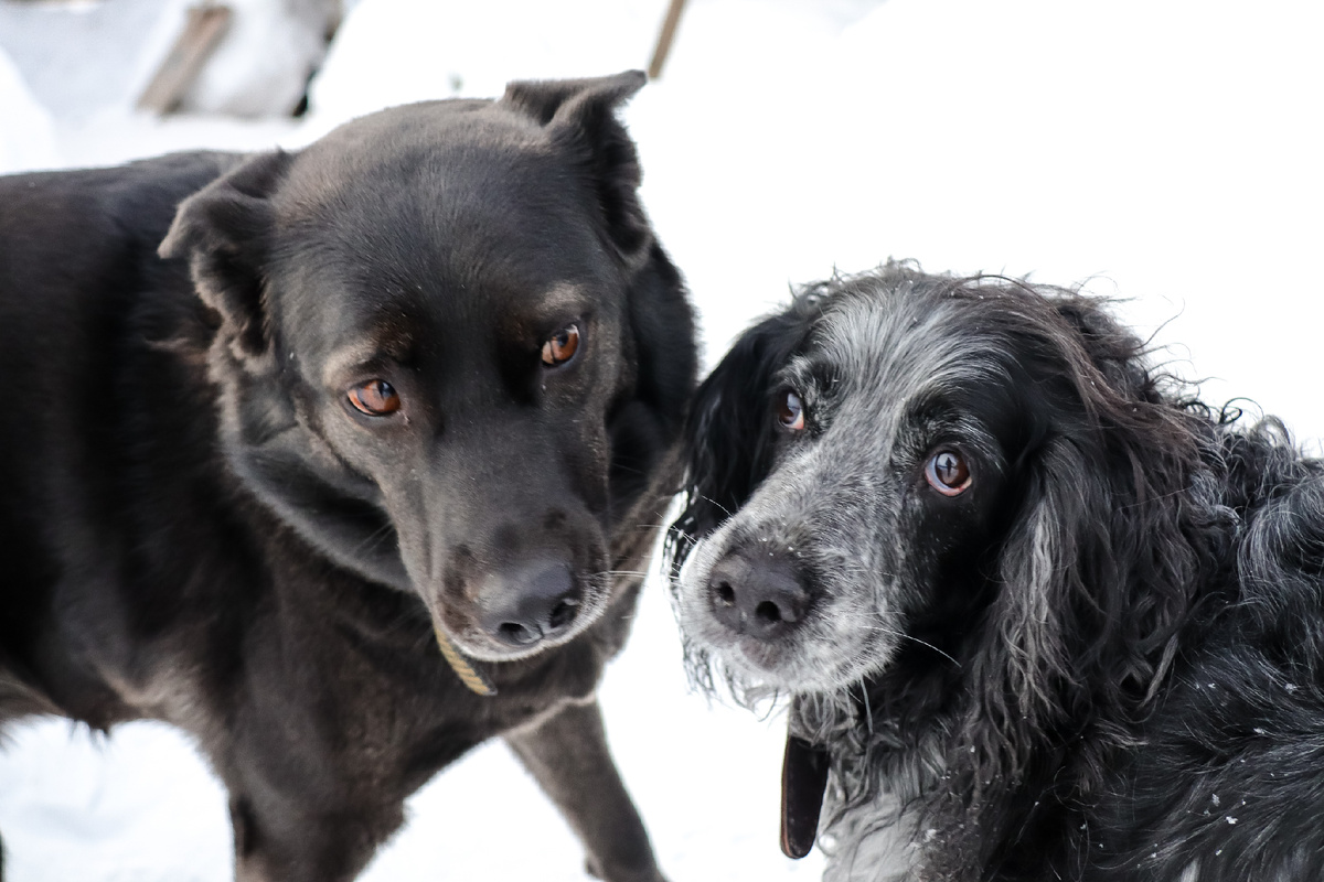 Фото: © Elena Mayorova/ Globallook Press