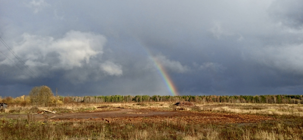 Суровая природа Русского севера иногда улыбается гостям