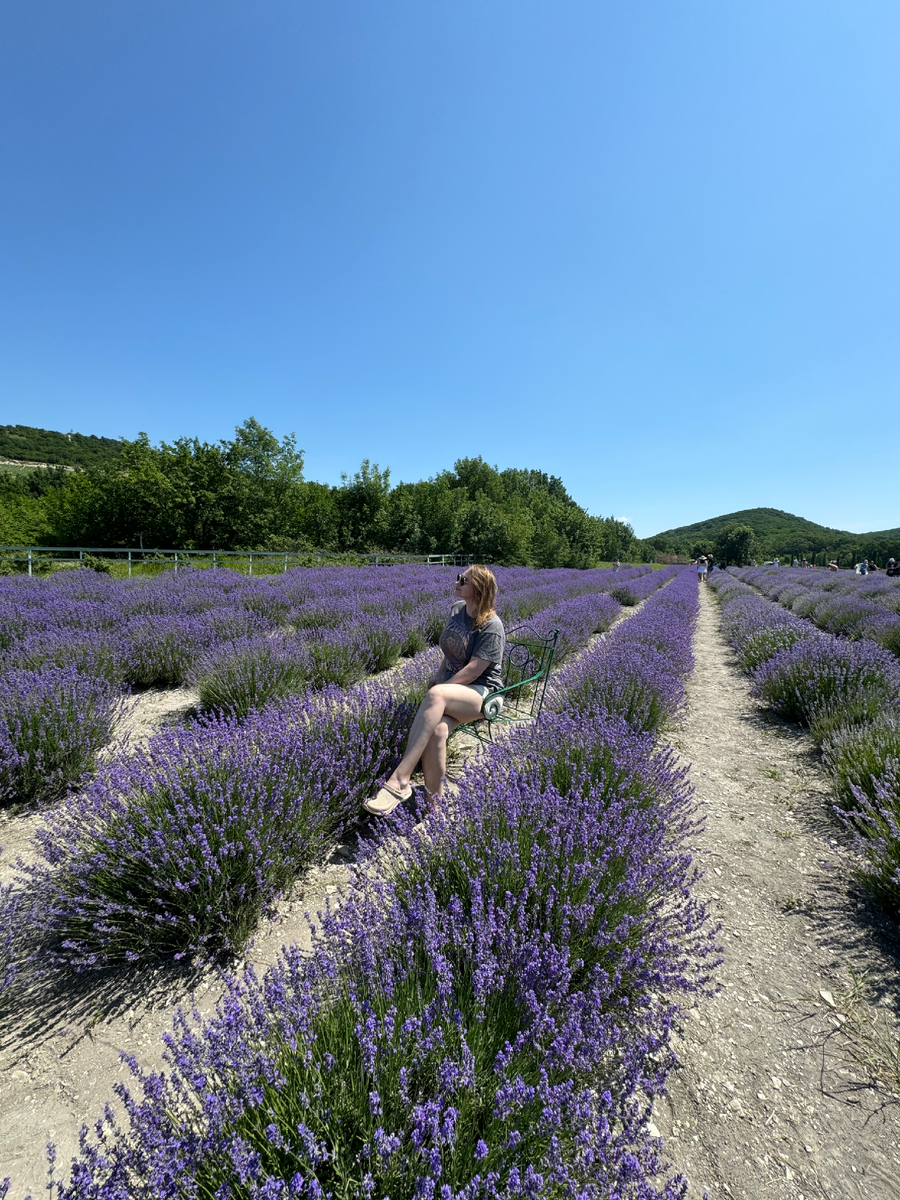 На поле есть несколько стульчиков для ваших фотографий