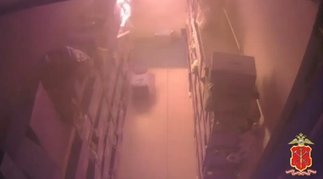    Фото: скриншот видео полиции Петербурга